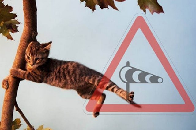 Внимание! В воскресенье в Днепре и области ожидаются порывы сильного ветра