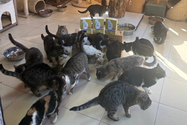 Притулку «Пегас» передали більше півтонни корму для тварин