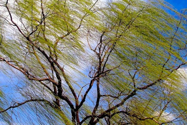 �������� �����������: ������� ������ �� ������� �� ����������������