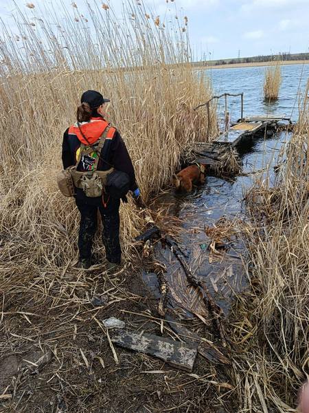 �� ���������������� ���������-�������� � �������� ����� ������� � ������� ��������� 20-������ �������