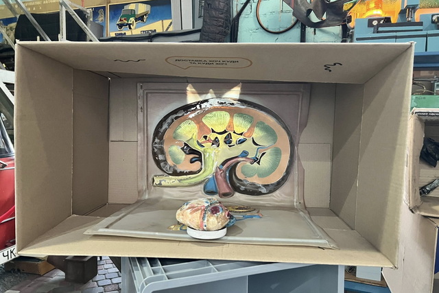 ����� ������� ������� ������� � �������� ����������� ������