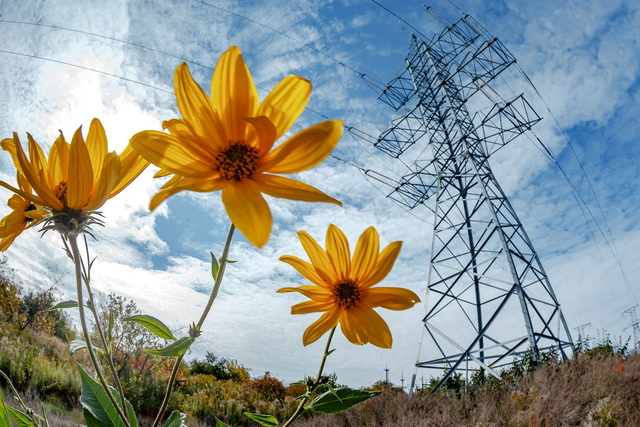 ���������� �� ���� ���� ���������� ������������ �� ���������� ������� �����㳿