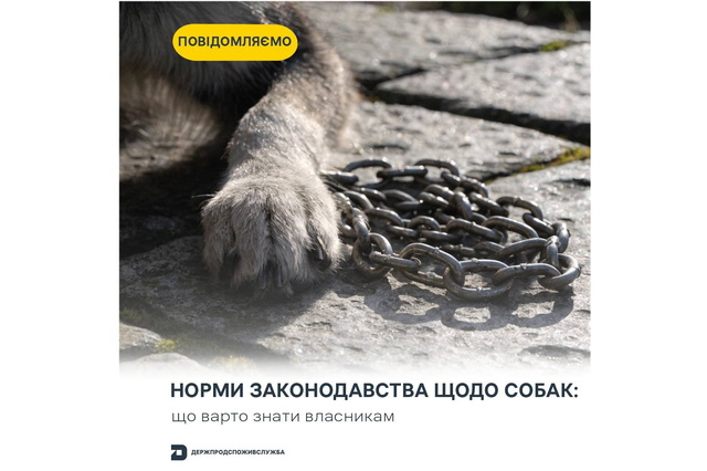 � �������� �������������� ����������� ���������� � ������ ������� ���������� ����� �� �������