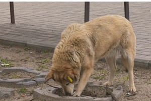 �� �������� � ������ ���������� ������ �����!