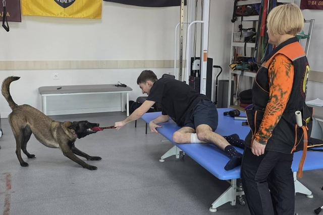 � ����������� ��������� �������� �������� �������������� ���������� �������