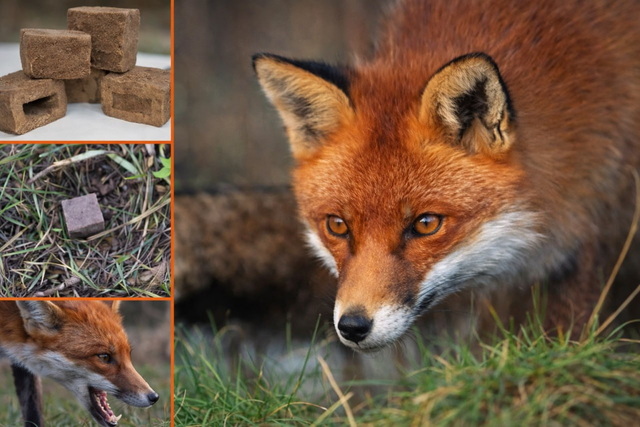 �� ���������������� �������� ����������� �����   �������� �� ���������