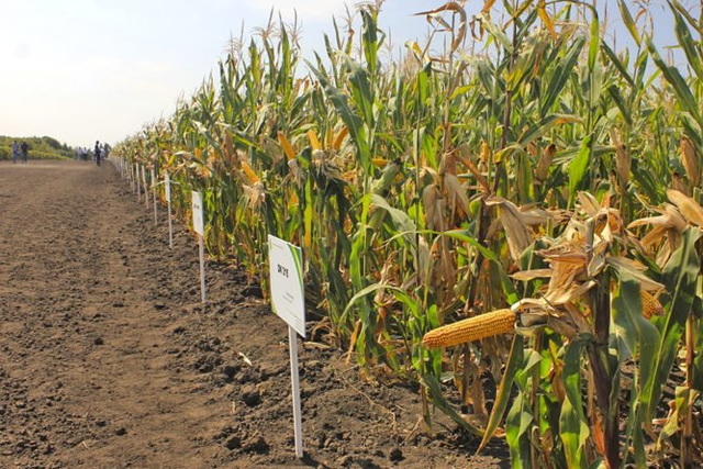 ������ ������: 70 ���� ���� ���� �������� �������� ���������