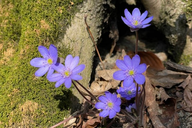 ������� ���� �� �� 19� �����: ������� ������ ��� ���������������� � 24 �� 30 �������