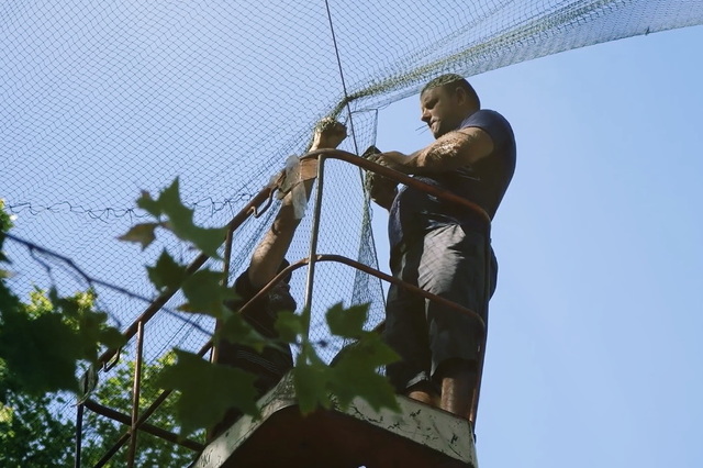 � �������� �������� �������� ������� ������ ������ �� ����� 700 �����