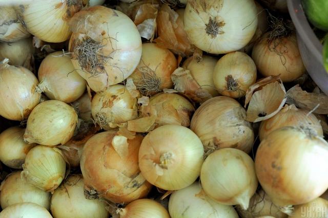фото УНІАН Репчатый лук в Украине отдают за копейки: какие цены сейчас