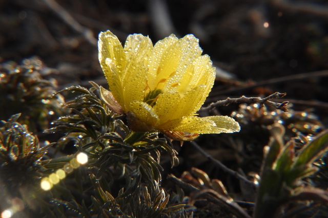 �� ���������������� ������ ������, ��� ���������� �������