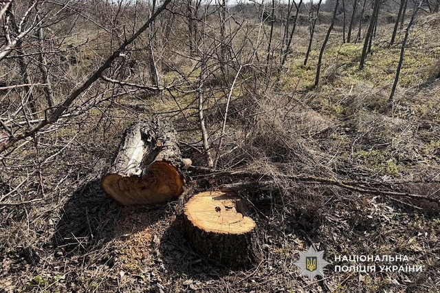 �� ����������  �������   ��������� ������� ������� �� ���������� ������������ ���������