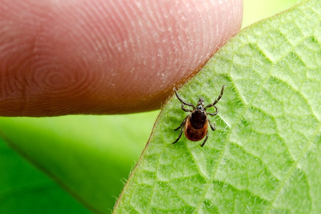 �� ���������������� ����������� �쳿 �� ����