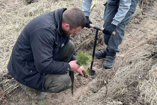 Юные натуралисты высаживали лес в Царичанском районе