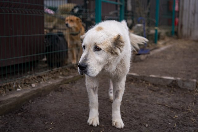 ����� ��������� ����������� ������� ��� ���������. �� �������� � ������������ ���������� ������� ̳��