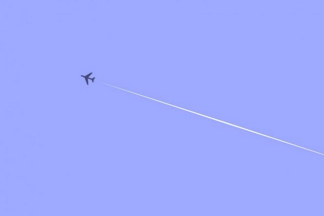 ������������ �� ��� ����: ������� ������� ����� �����, ���� ������� ������� �������