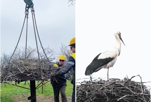 ���������� ������ ���������� ������������� ������ ��� ������