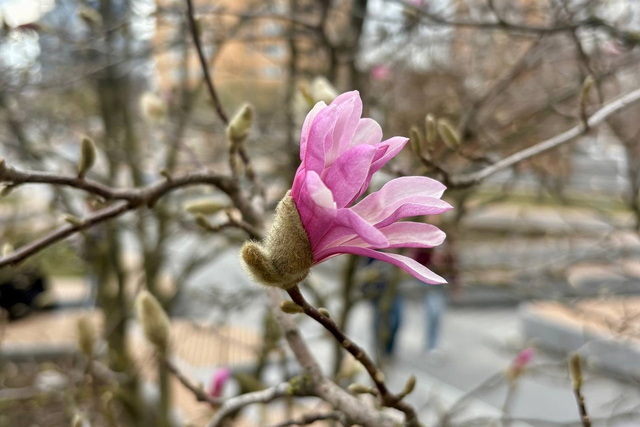  � ������ ������� ��������