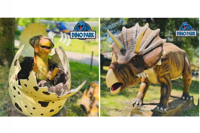  � ����� ����������� ����� ���������!