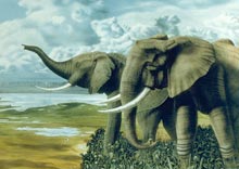 BBC � Discovery ��������������� �� �����