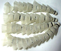 ����������������� - � 1/8 ������ ���������� ������ �� ���������� 