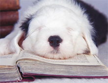 ������� �������� ��������� ���� ����� � ���������� �����