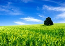 ���� ���������� ����� � �������