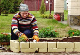 ������� ������� ����, ������ �������, ������ ������� ���������� �������� 2010 ����