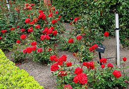 � ��������� ������ ����� �������� 5000 ������ ���