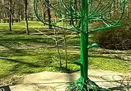 � ��������� ����� ��������� ������ �����