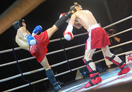 ���������� ���������������� ������� ��������� �� ��������� ����������