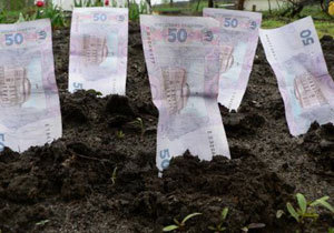 � 2013 ���� �������� ����������� �������� ������ ������ ������