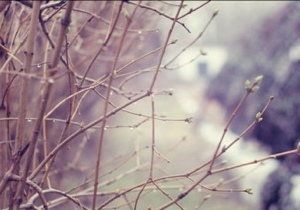 ����� ������������ ������ � �������,- ����������������