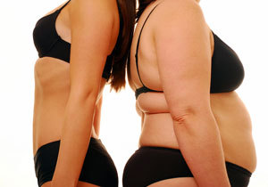 �� ���� �������� 1,5 ������!!! ���������� �� ��������� � ������ �����������! ������ �� ��������� ������ Vela Shape � 40%!