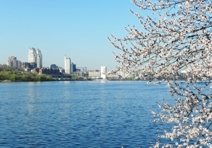 ��� ���� ����� ����� �������� � ������