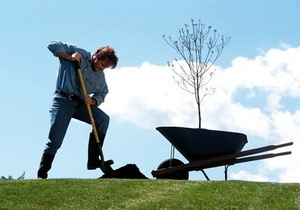 � ������� ������ ���� �������   ���������������� ������ ��������� ���� �����