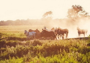 � ��� ����� �������� �������������� ���������