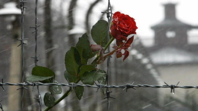 � ���`�������� ��������� ���`��� ����� ����������� ������