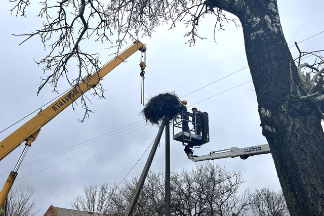 В селе на Днепропетровщине энергетики установили две новые платформы для гнезд аистов