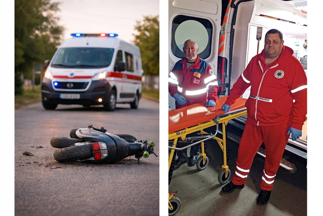 ������ ��������� 11-������ ����������, ���� �������� � ����� ����� �� ����������������