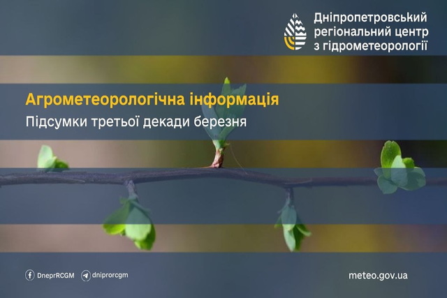 �������� ����� �������� �� 5-6� ���� ����� 