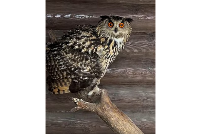 �� � �������� ������ ������ ������� ������� ������