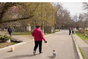 �� ���������� ����� ������ ����������� �������� �� ����� ��������, ������� �� ��