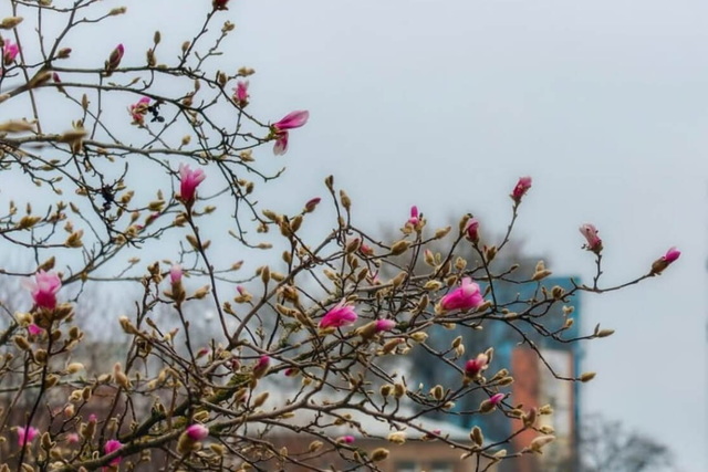 ����� �������� � ������: ���-6 �������, ��� ����� ������������ ��������� � ������� ���� 