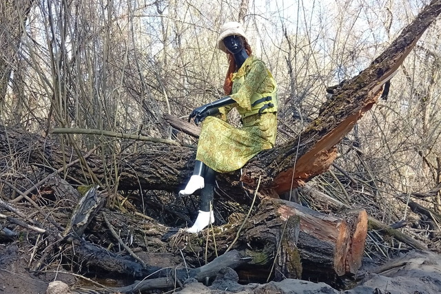 � �������� ������� ���������� ������������ ���������