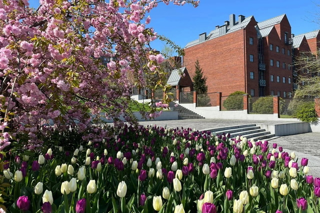 �� � ����� ���������� ������: ������ �� �� �������� �������� 