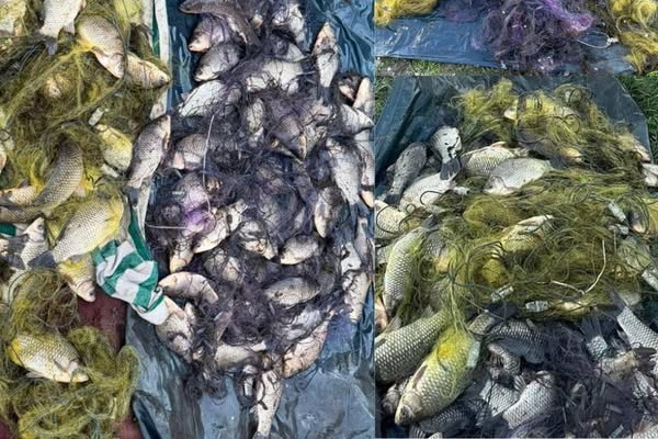 На Дніпропетровщині браконьєри завдали збитків на 250 тисяч грн