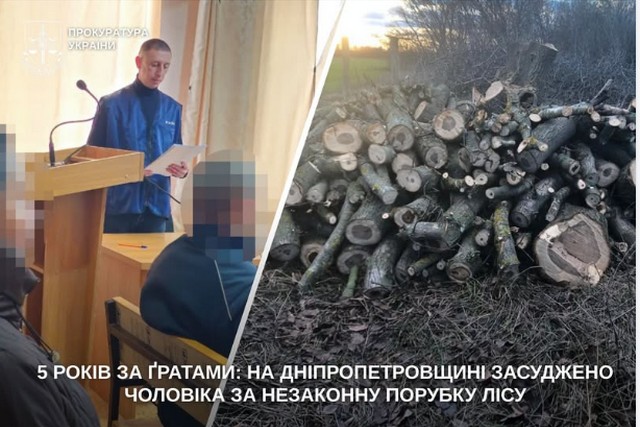 5 ���� �� �������: � ����������� ������ ��������� ������� �� ��������� ������� ���