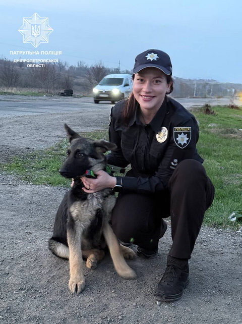 Співробітниця патрульної поліції Дніпра стала господаркою бездомного собаки