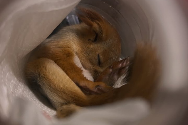 ������� ��������� ��������� ������� �������, ������� ������ �� ������